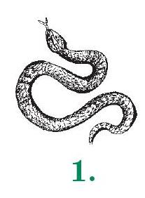 1-Змея